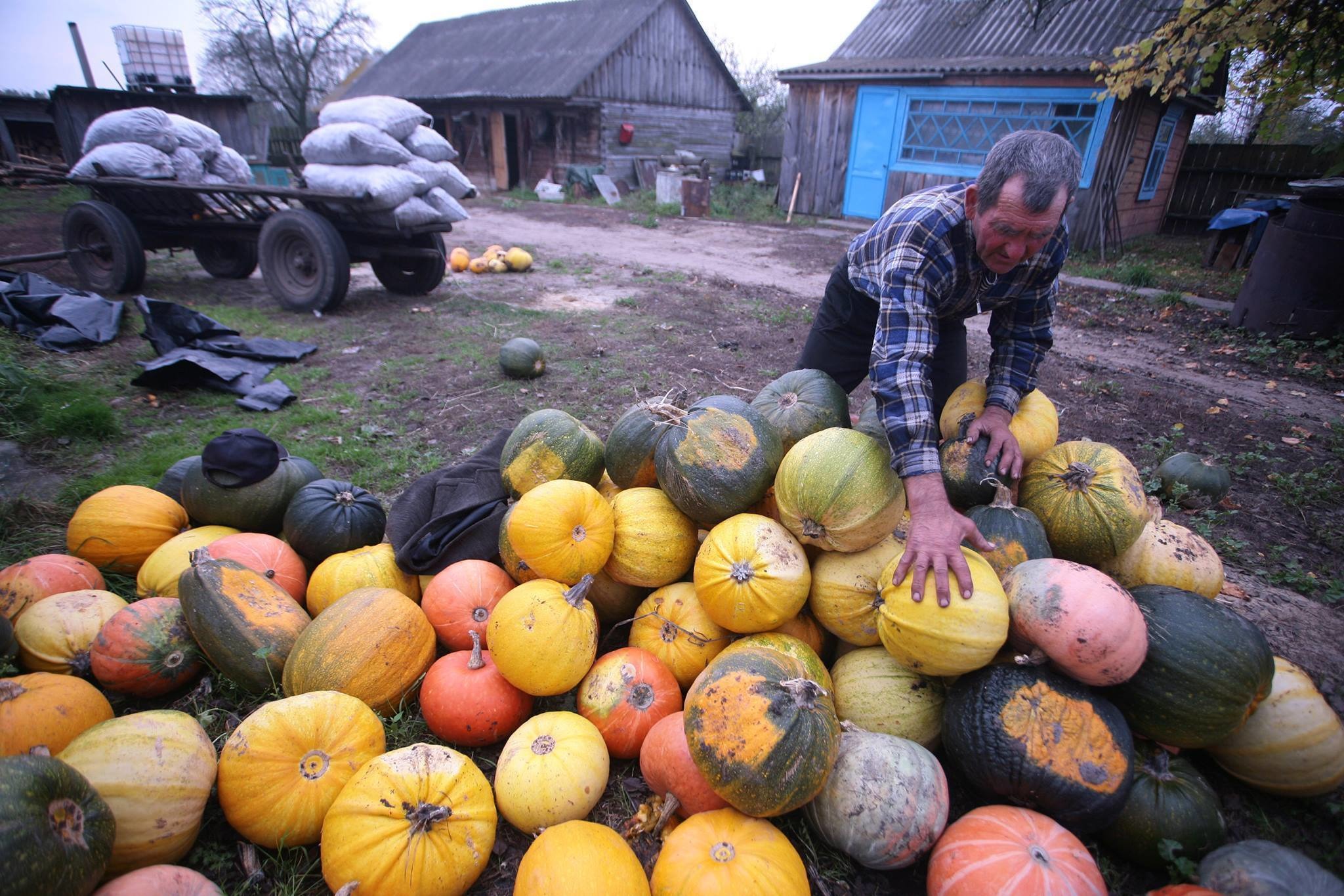 10 крокаў да дэмакратыі. Алесь Белы аб тым, як развіваць рэгіёны ў Беларусі