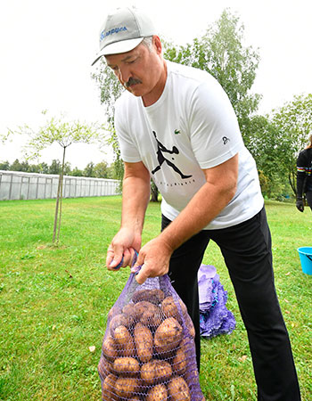 Президент Беларуси накопал картошки и нарезал арбузов