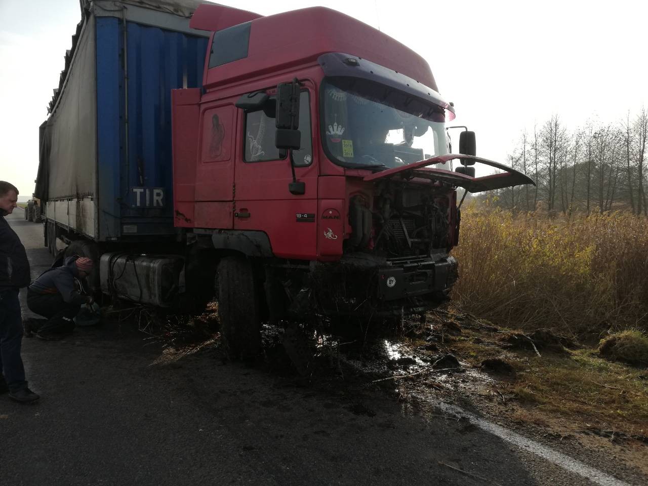 Дикий зверь отправил фуру в кювет в Берестовицком районе