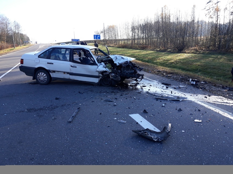 В ДТП на дороге Минск-Могилев пострадали две малолетние девочки