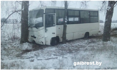 Автобус врезался в дерево: травмирована пассажирка