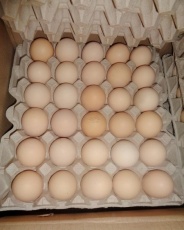 Россельхознадзор не пустил в Россию более 300 тысяч беларусских яиц