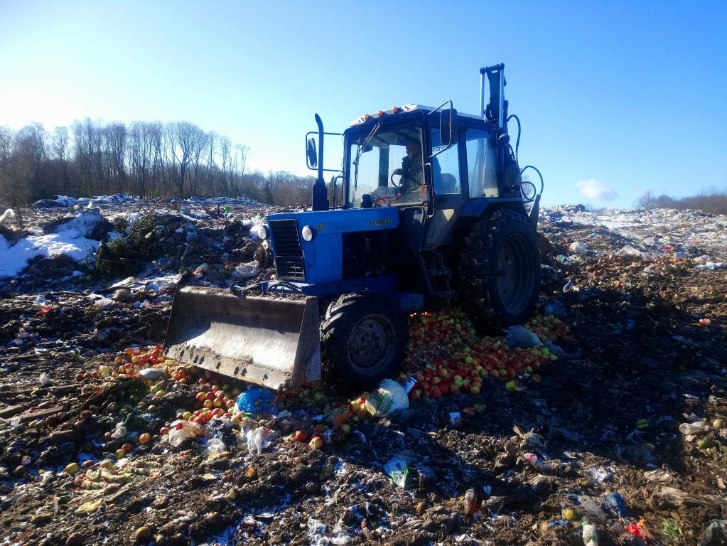 В России уничтожили более 2 тонн яблок, киви и апельсинов из Беларуси