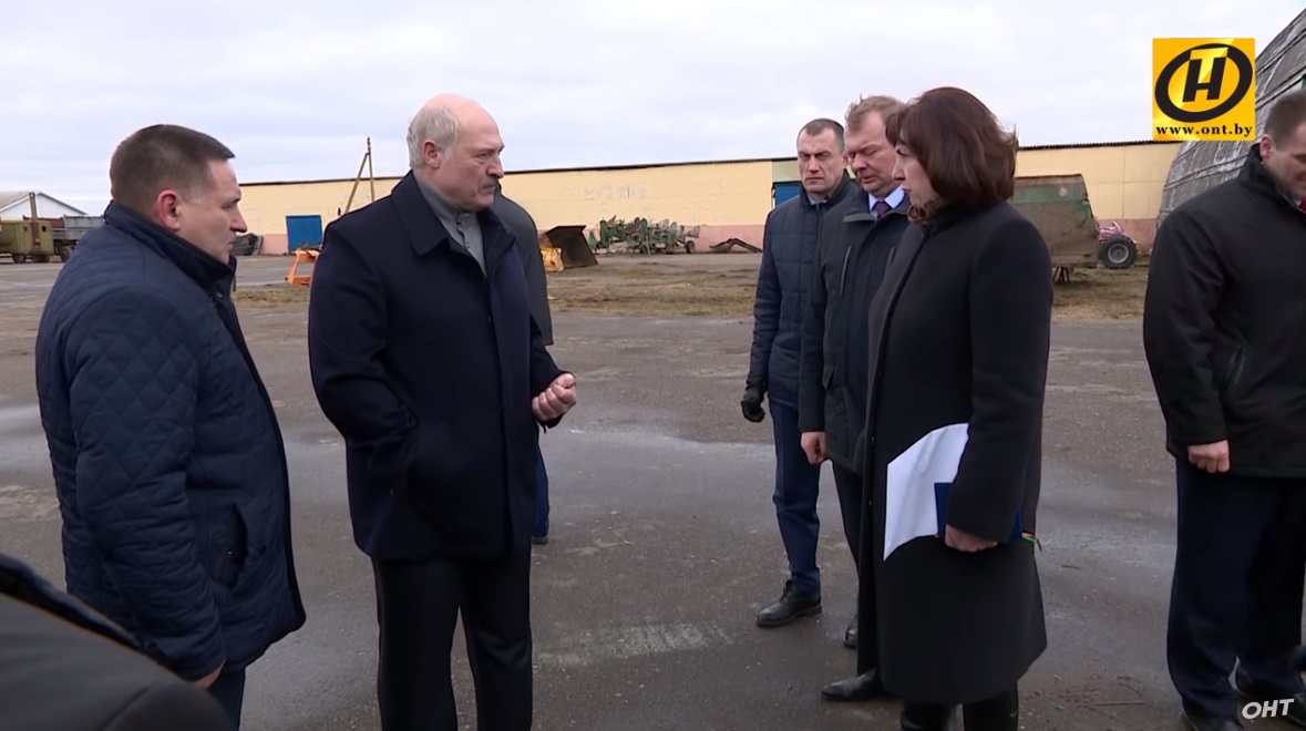 Лукашенко устроил разнос на ферме: Ты посмотри на эту скотину! Она же вся обосранная