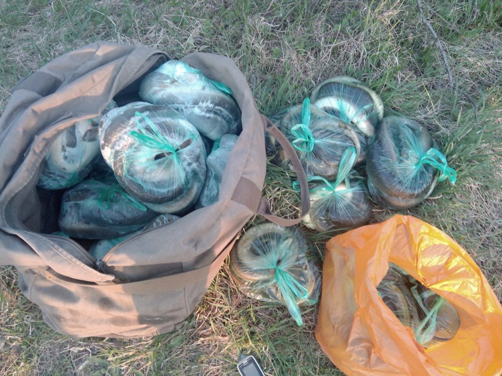 В Мядельском районе браконьеры наловили угря на 32 тысячи рублей