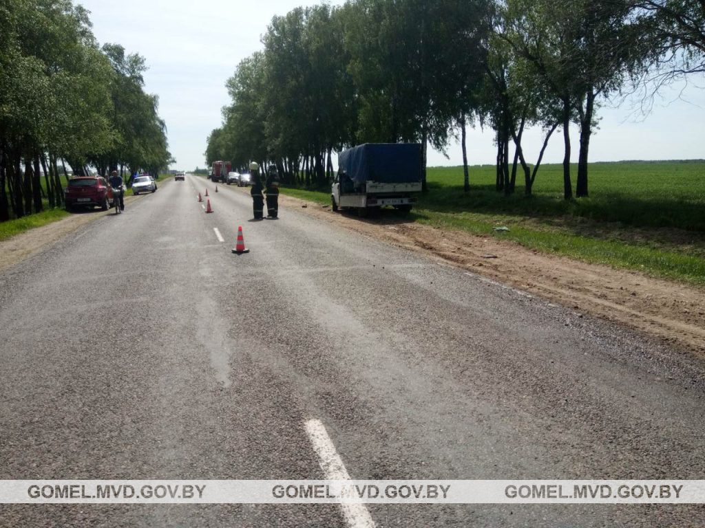 В Гомельской области грузовик врезался в мотоблок - погибли два человека
