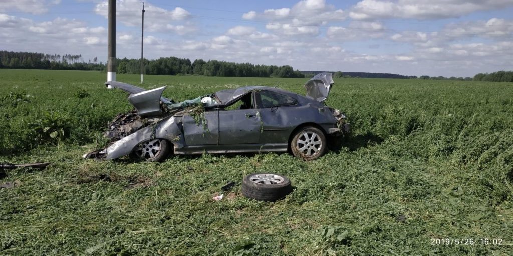 В Шкловском районе водитель "Пежо" вылетел в кювет и погиб