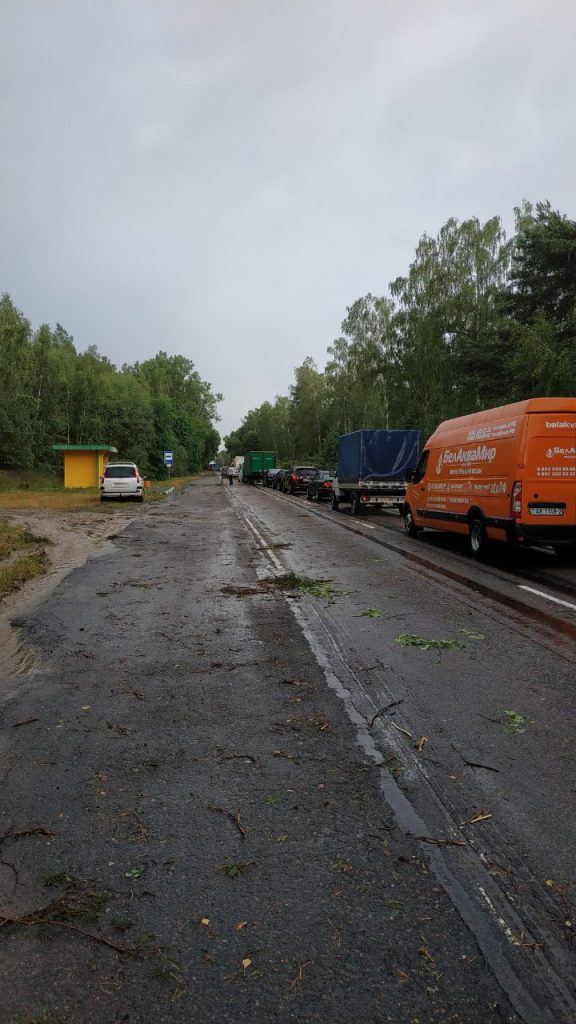 Дорогу Брест-Пружаны завалило деревьями