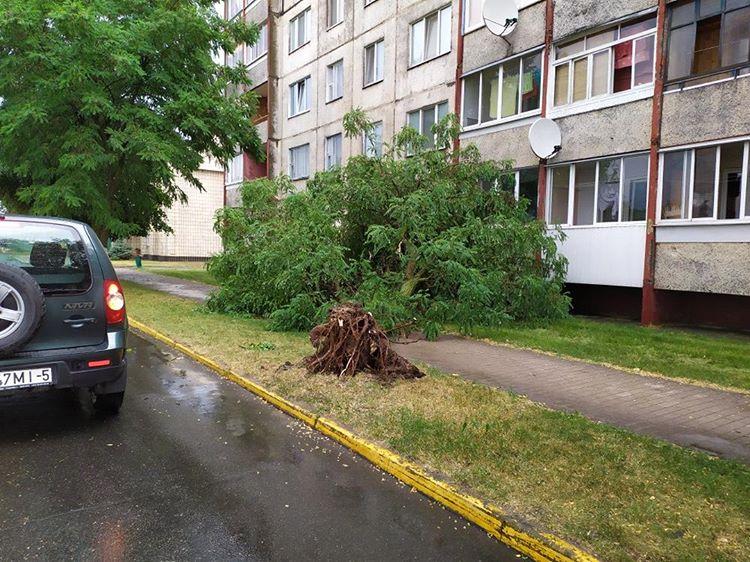 Ливни подтопили несколько городов в Беларуси