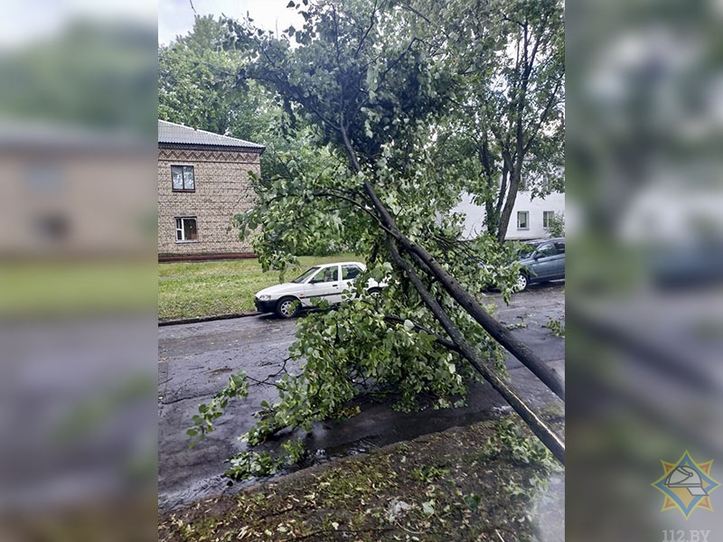Гроза в Минске: затоплены улицы, повалены деревья
