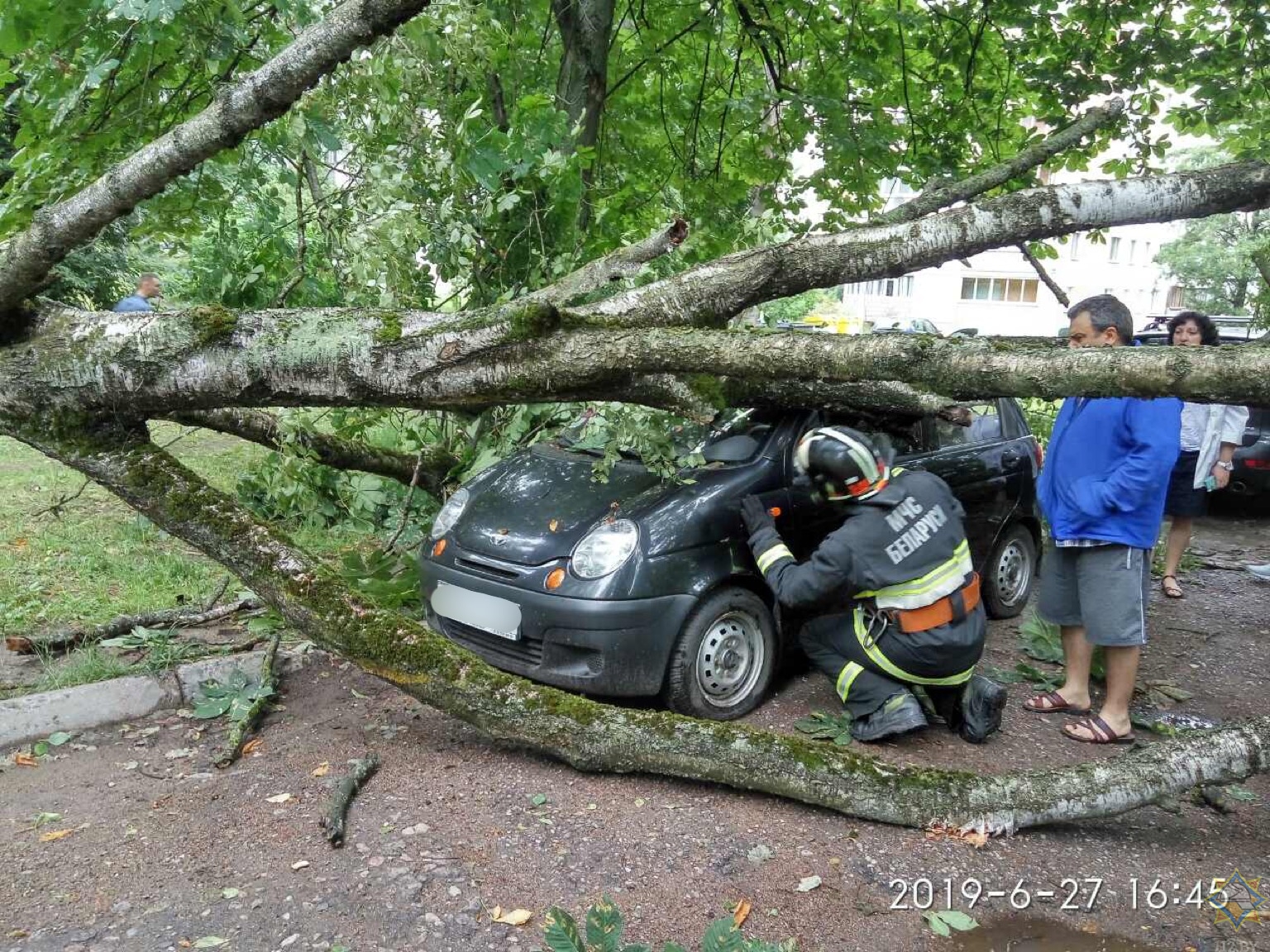 В Минске ветер повалил деревья, повреждены автомобили