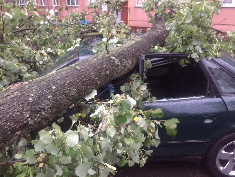 Сильный ветер, град, дожди пришли в Беларусь