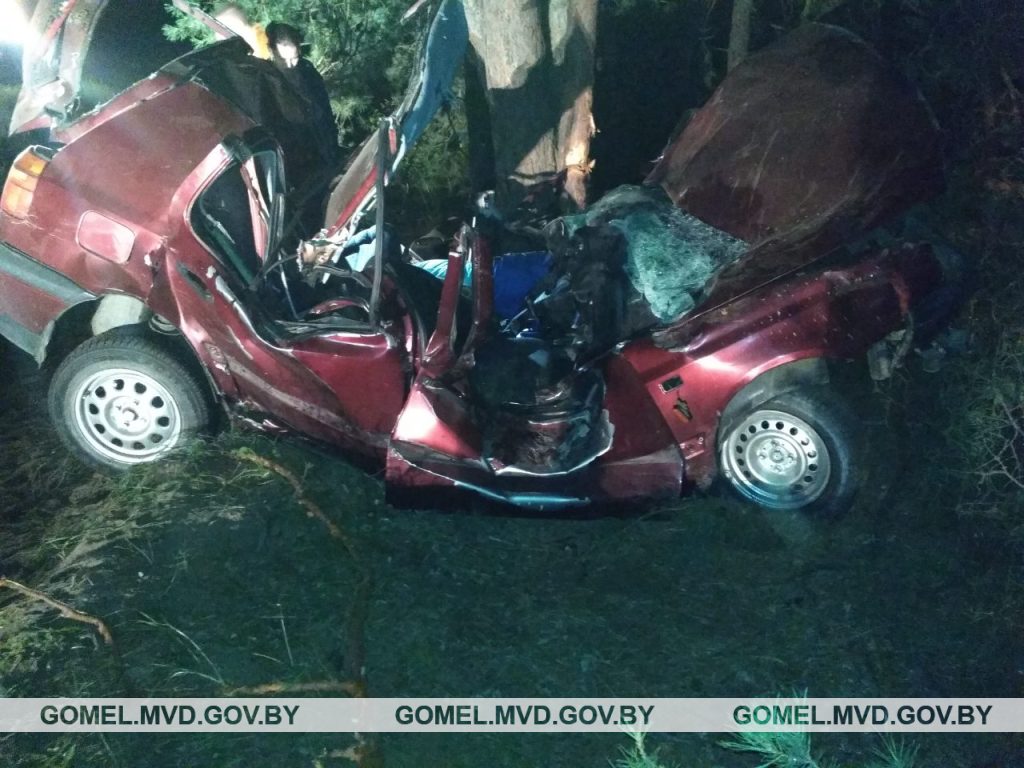 Пьяный бесправник в Мозырском районе врезался в дерево и погиб