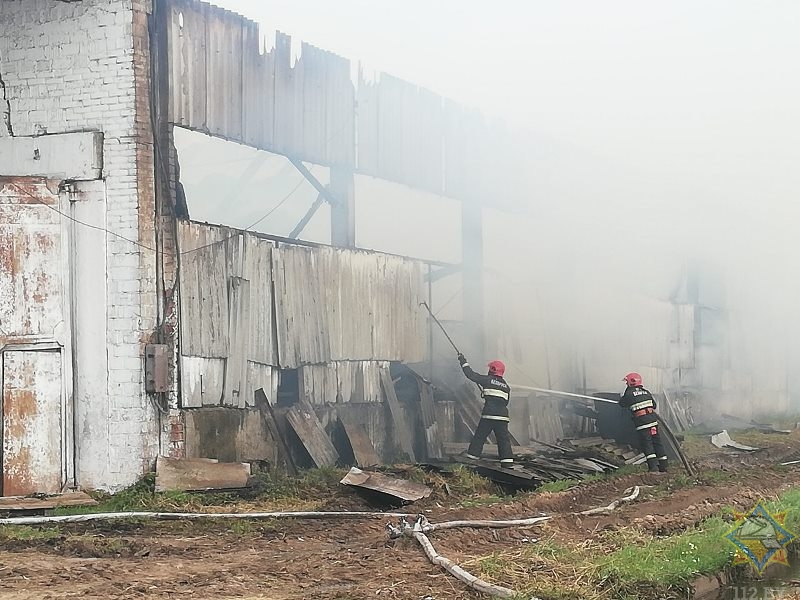 Сенохранилище сгорело в Шумилинском районе