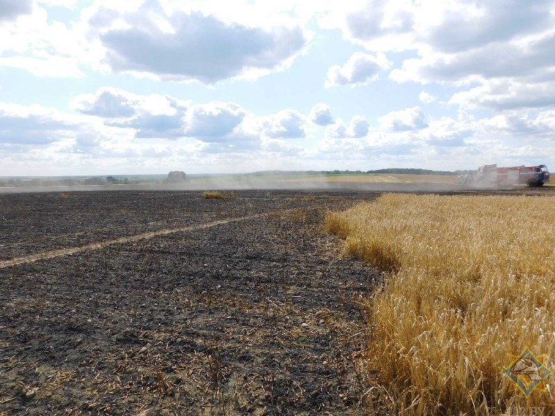 У фермера сгорело 2,5 гектара ячменя в Берестовицком районе