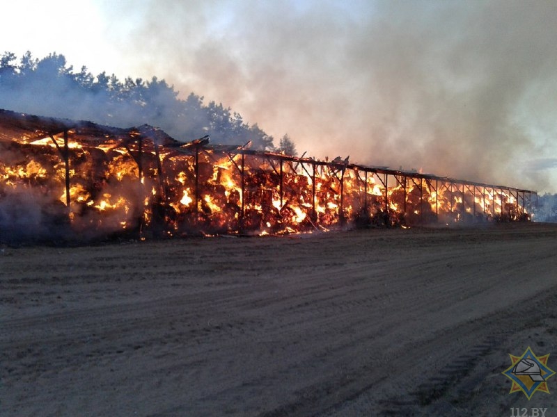 340 тонн сена уничтожено огнем в Рогачевском районе