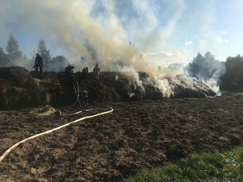 20 тонн сена сгорело в Оршанском районе