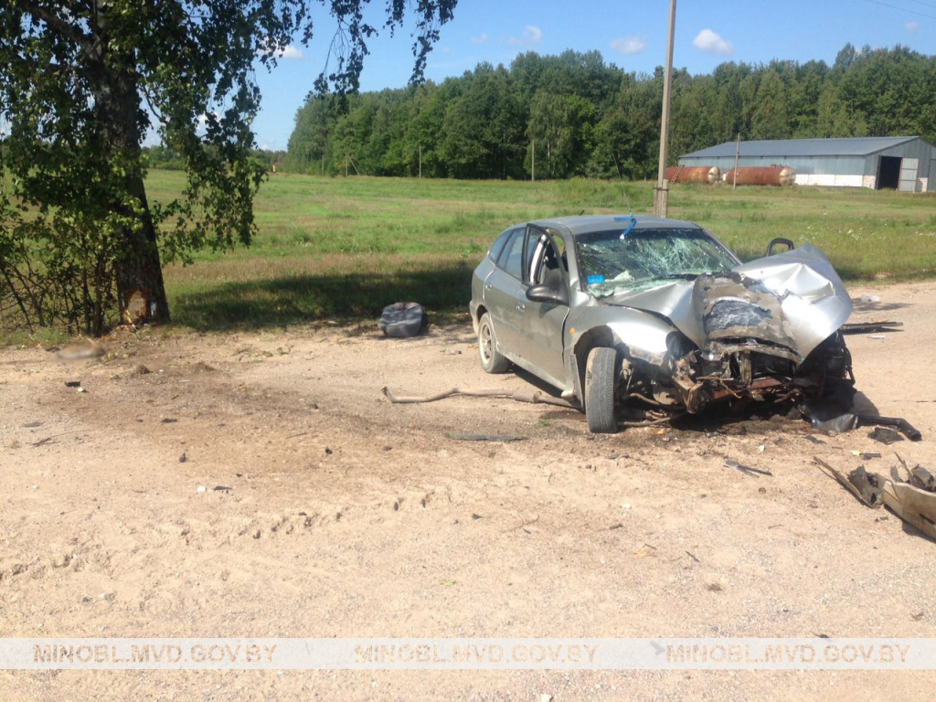 KIA влетела в дерево в Пуховичском районе: двое погибли, один ранен