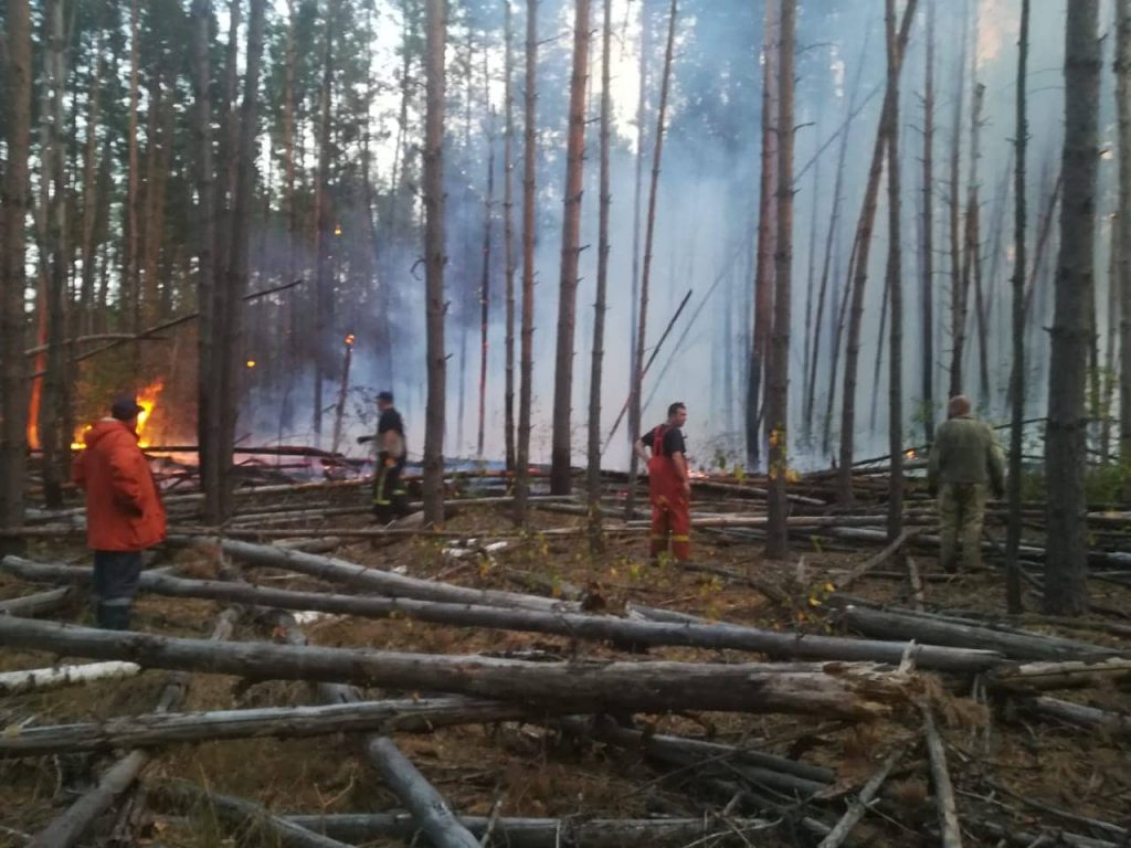 В Чернобыльской зоне в Украине тушат крупный лесной пожар