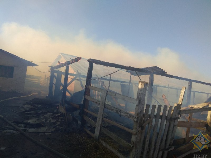 В Копыльском районе сгорел телятник: эвакуировано 112 телят