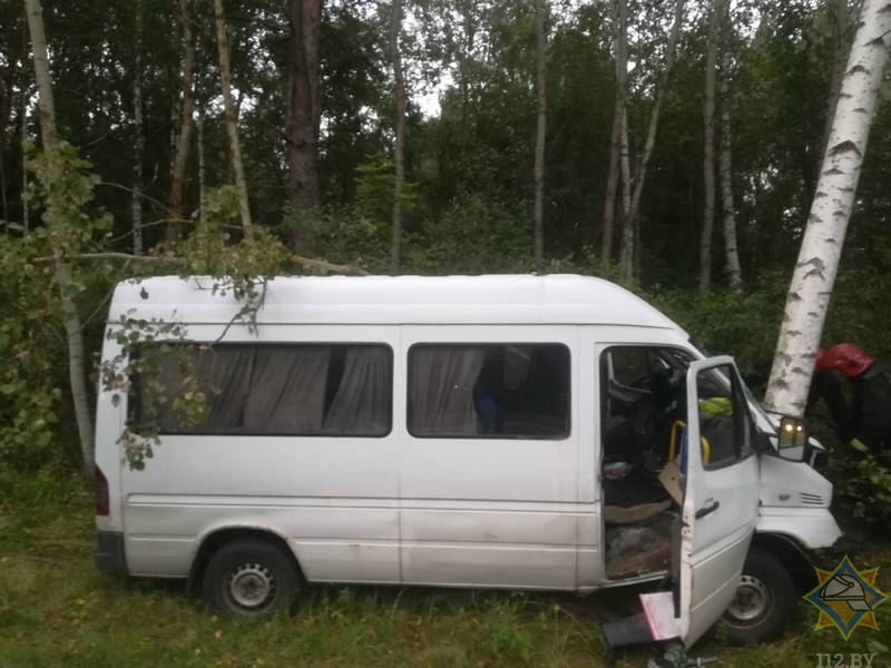 Микроавтобус Mercedes врезался в дерево в Лепельском районе
