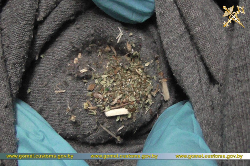 Гомельские таможенники нашли марихуану в поезде из Украины