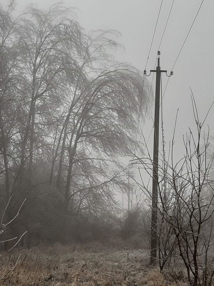 В Минской области из-за непогоды без электроэнергии оставались 29 населенных пунктов