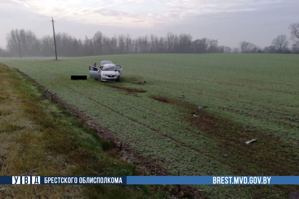 Renault опрокинулся в кювет в Брестском районе – погибла пассажирка