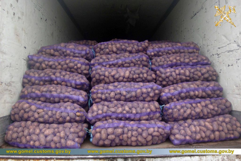 Таможня не пустила в Беларусь 100 тонн бананов из России