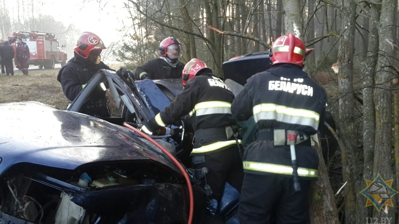 Под Брестом Audi врезалась в дерево: спасатели деблокировали водителя