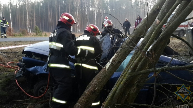 Под Брестом Audi врезалась в дерево: спасатели деблокировали водителя