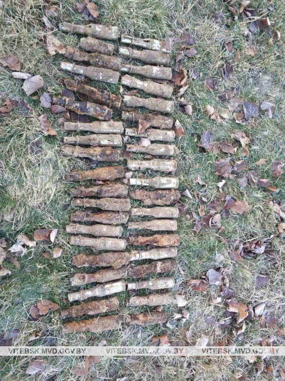 В Орше откопали 39 гранат