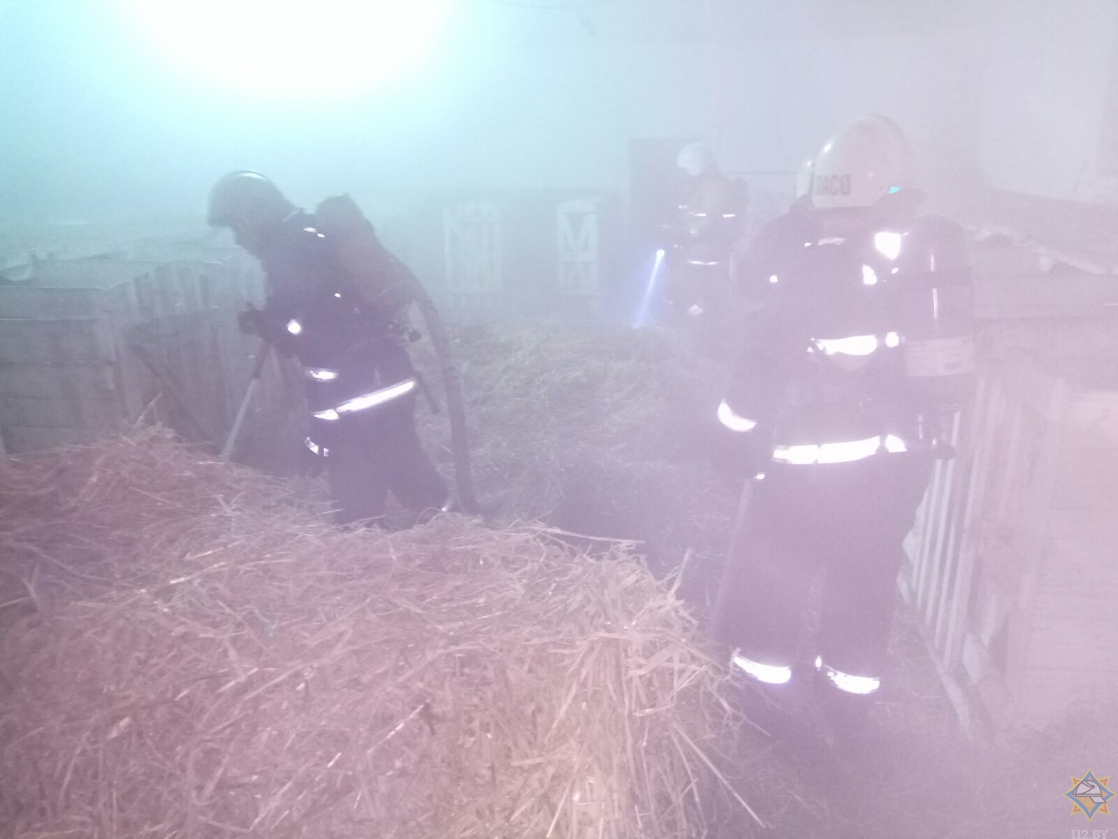 В Молодечненском районе на пожаре эвакуировали 21 теленка