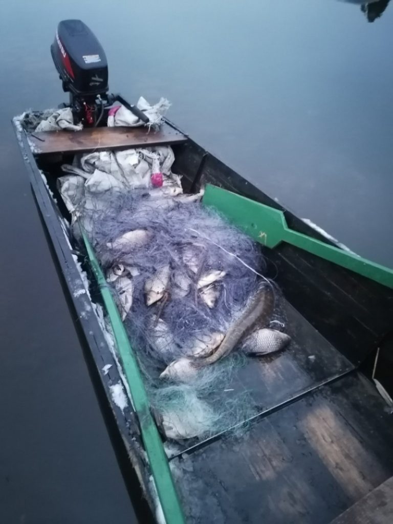 В Житковичском районе поймали браконьеров с 230 кг рыбы