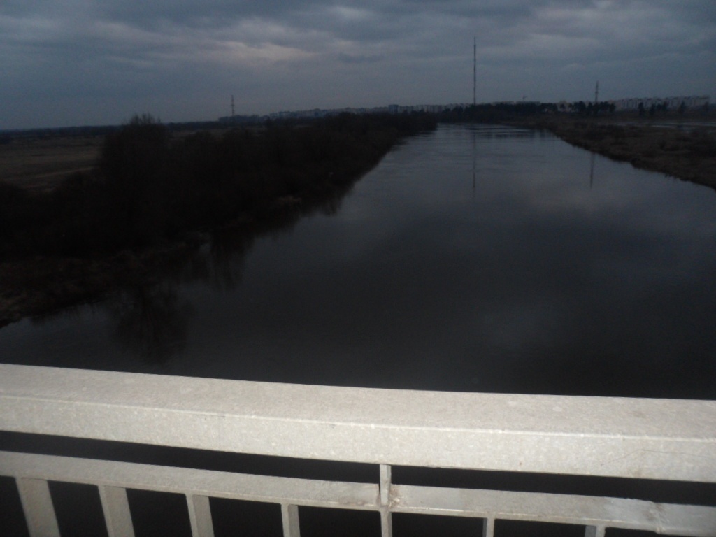 Мужчина спрыгнул с моста в Днепр под Жлобином