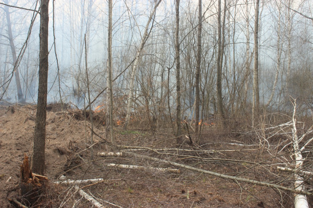 Пожар в Чернобыльской зоне полностью ликвидирован