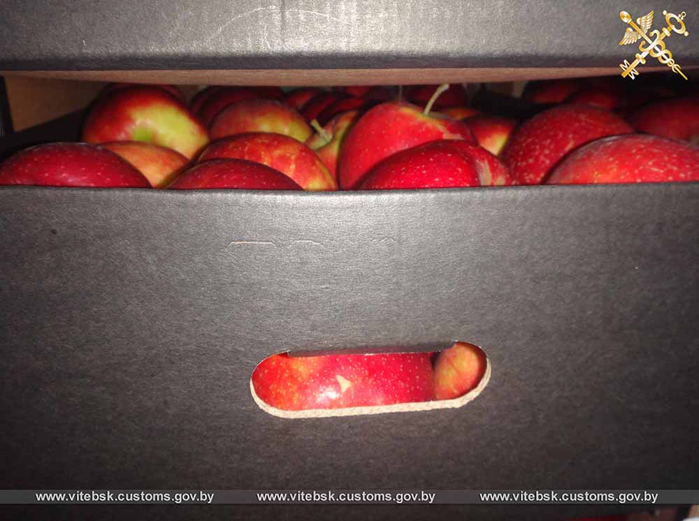 Беларусские таможенники пресекли вывоз более 35 тонн яблок в Россию