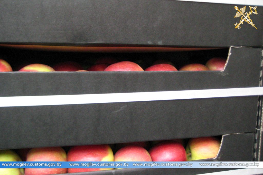 Беларусские таможенники пресекли незаконный вывоз почти 60 тонн фруктов в Россию