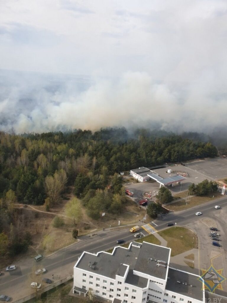 Лесной пожар на окраине Бреста ликвидирован