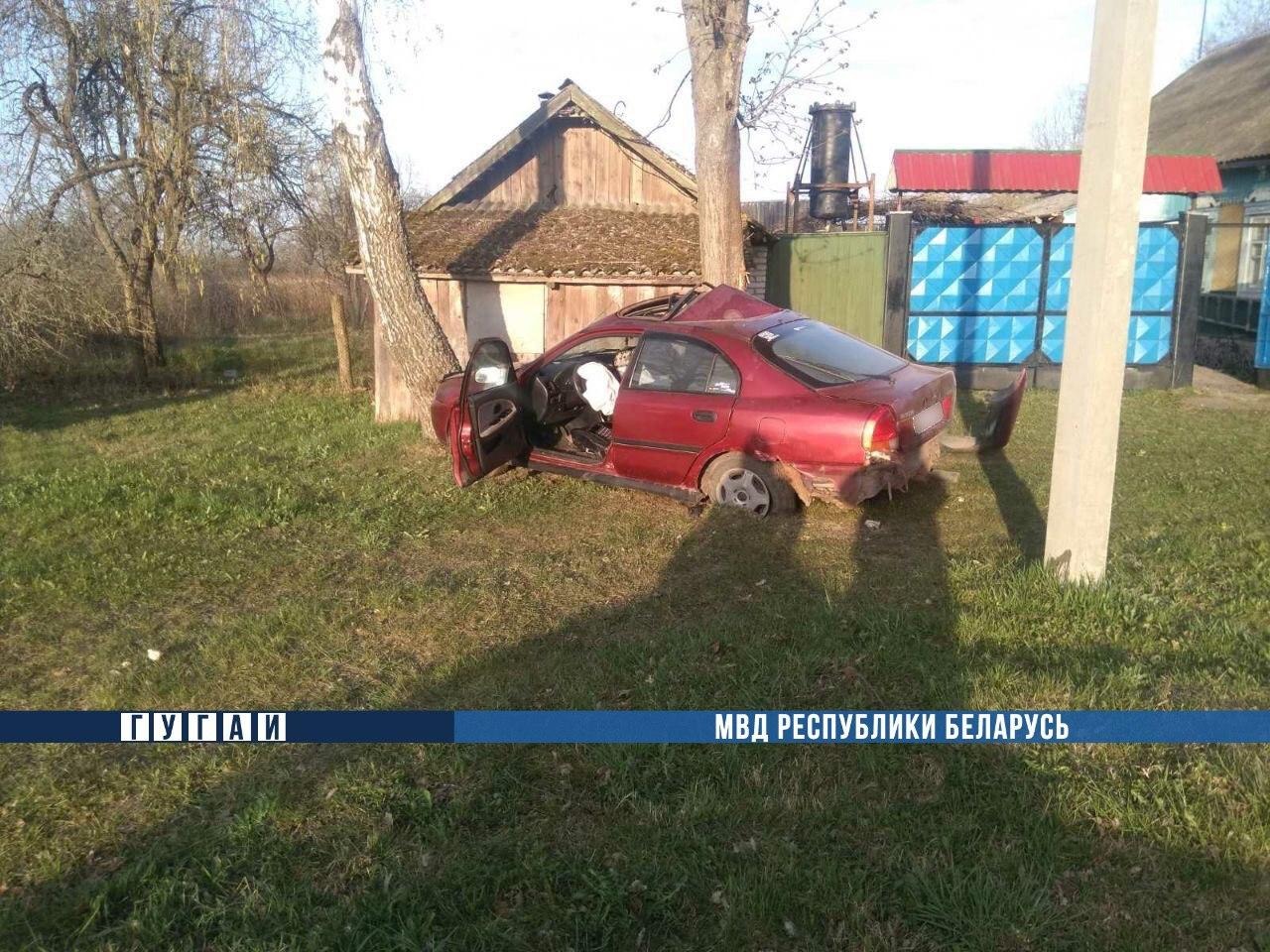 Под Рогачевом 19-летний водитель врезался в дерево, пострадали две девушки