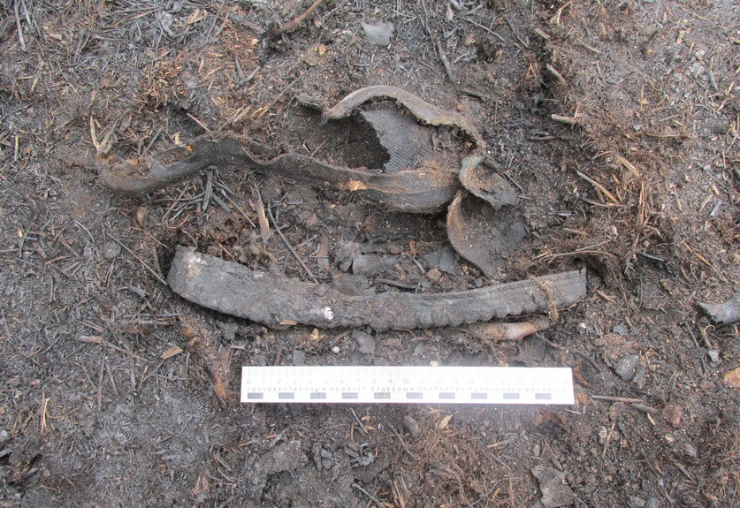 Человеческие кости нашли после пожара в радиационном заповеднике