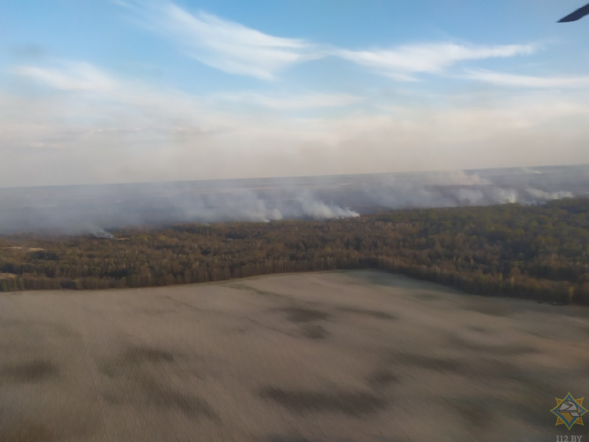 Второй крупный природный пожар случился в Петриковском районе
