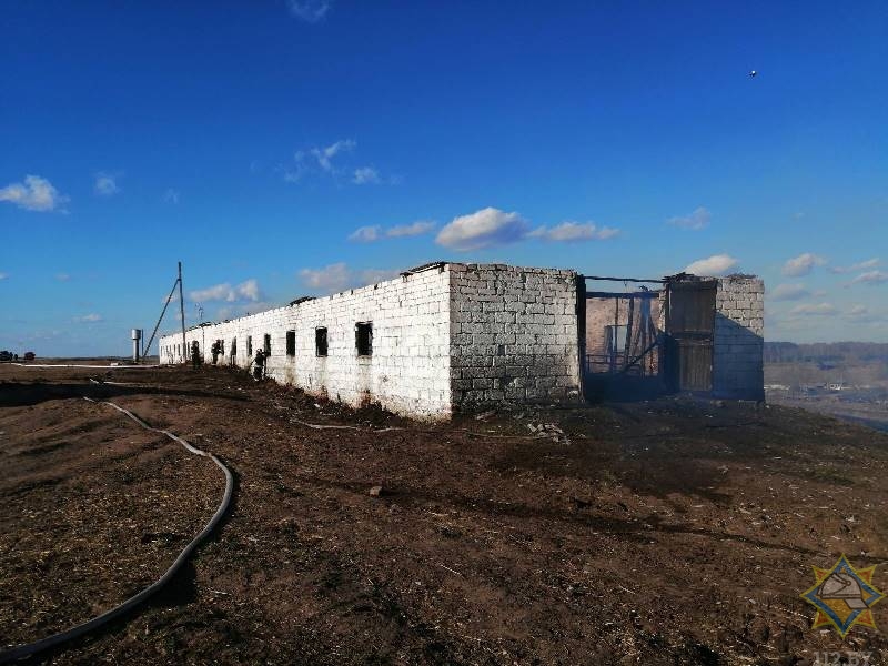 Конюшня сгорела в Чашникском районе