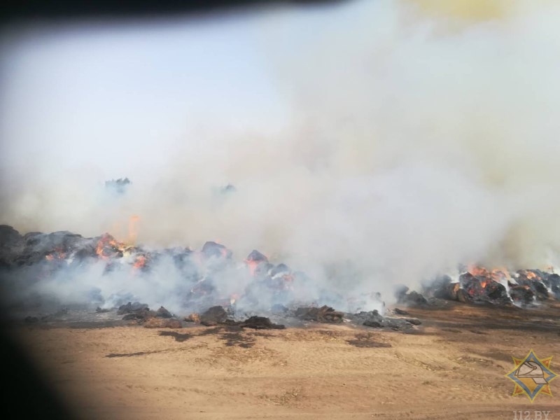 Полторы сотни телят эвакуировали на пожаре фермы в Столбцовском районе
