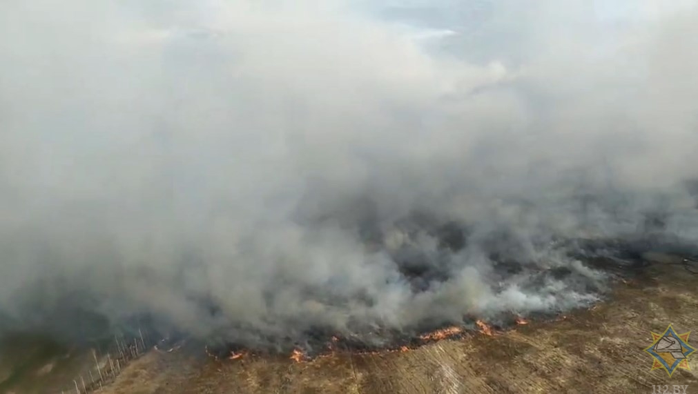 МЧС за воскресенье ликвидировало 20 лесных пожаров