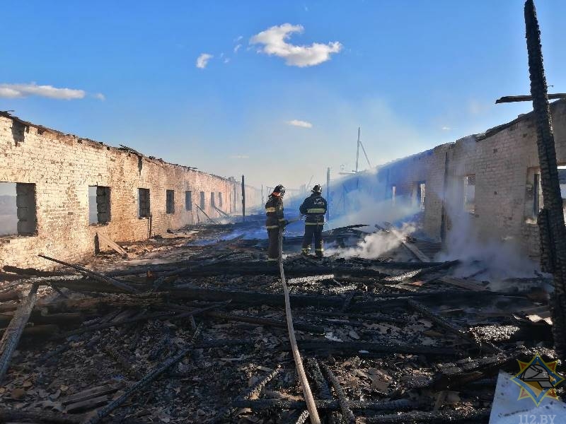 Конюшня сгорела в Чашникском районе