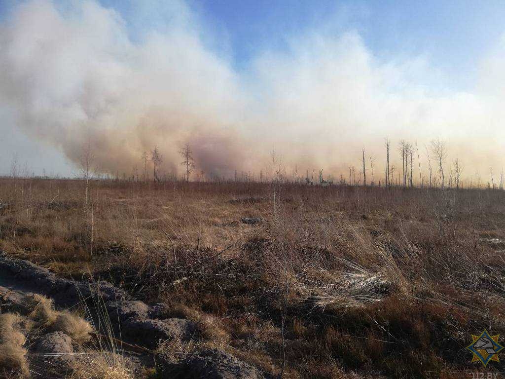 МЧС за воскресенье ликвидировало 20 лесных пожаров