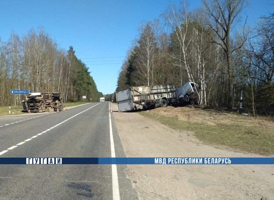 Два грузовика столкнулись в Пружанском районе