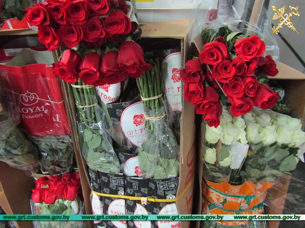 Беларусские таможенники пресекли незаконный ввоз роз в Беларусь