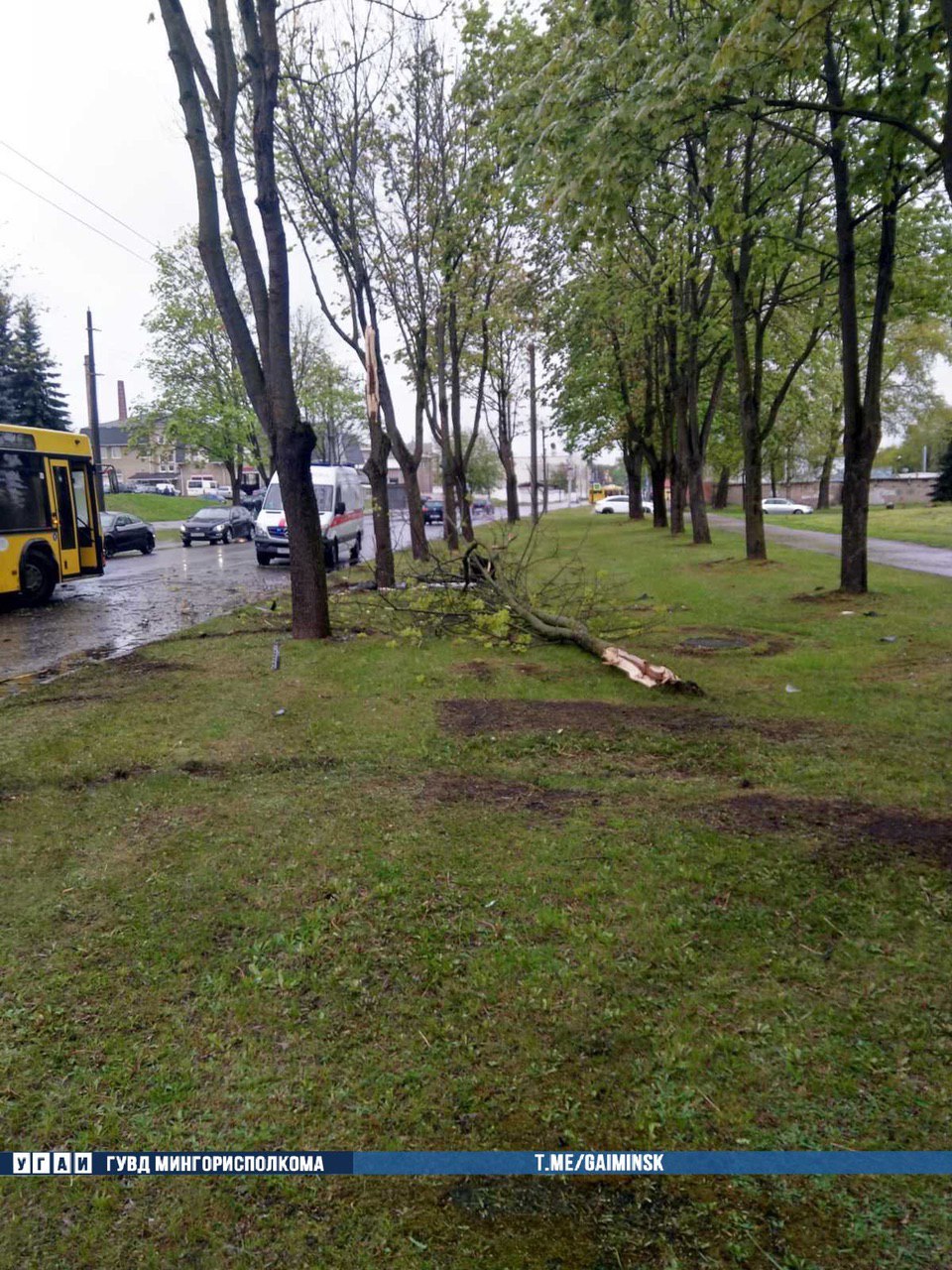 Toyota в Минске дважды врезалась в дерево и автобус